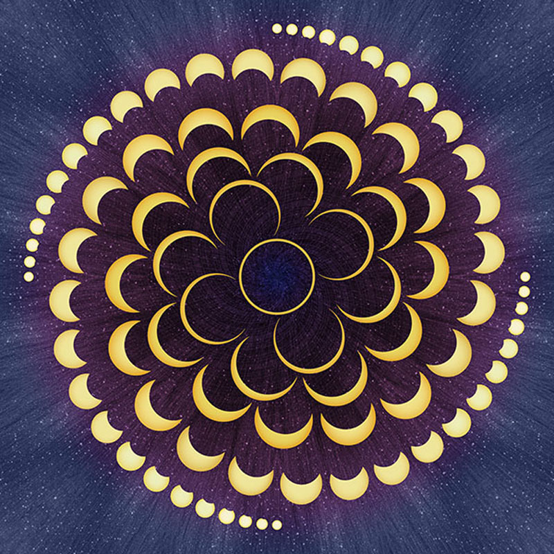 Hoffman Dream Big Eclipse - Ambrosia Panel 43" x 44"