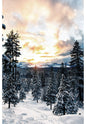 Call of the Wild Dawn Panel 29" x 44"