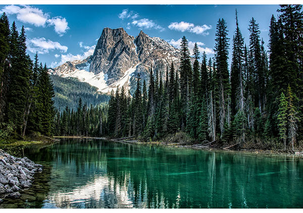 Call of the Wild Landscape Panel 29”x43”