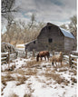 Panel: Hoffman Winterwind Stables Horses - Pasture