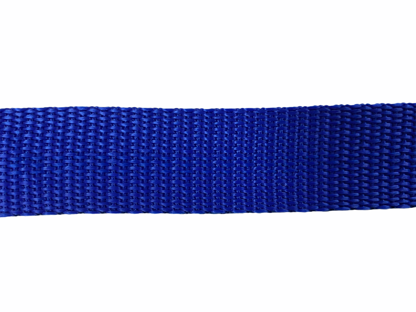 Polypro Webbing 25mm (1inch) - Royal