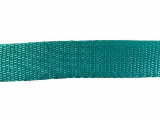 Polypro Webbing 25mm (1inch) - Seafoam